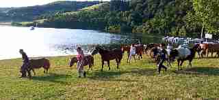 Camping La Romiguiere : La Ferme du Badour en balade